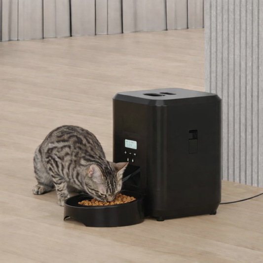 Katzenfutterautomat für zu Hause